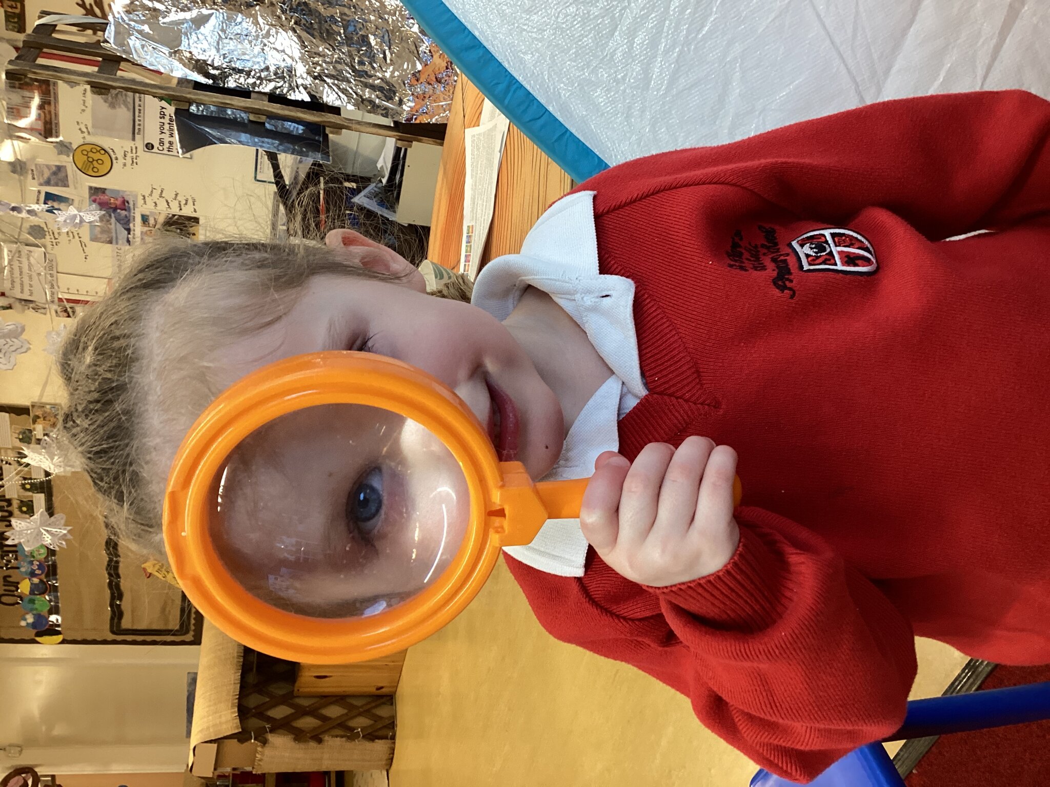 Image of Animals from warm  climates